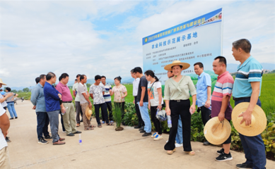 桂平市举办2023年基层农技推广体系改革与建设补助项目(农机)现场培训会