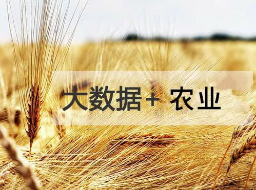 西安成立智慧农业 与农业大数据研究中心